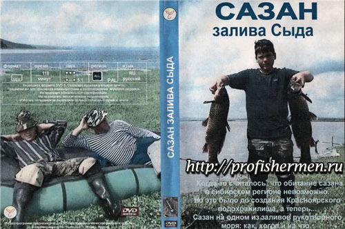 Зазан залива Сыда
