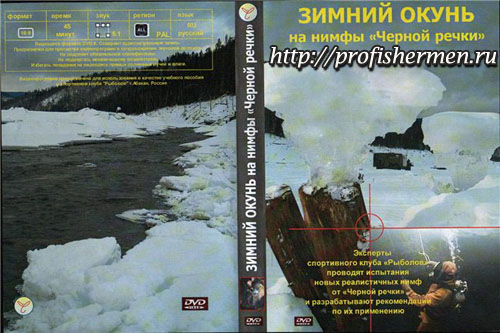 Зимний окунь. На нимфы “Черной речки»
