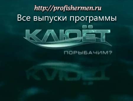 Клюёт. Порыбачим?