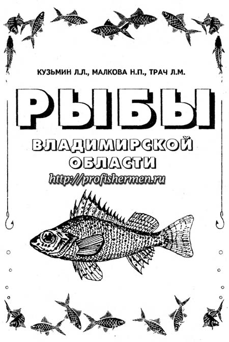 Рыбы Владимирской области Рыбы Владимирской области