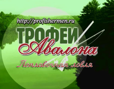Поплавочная ловля