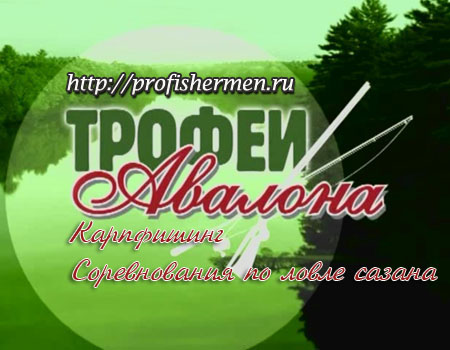 Карпфишинг. Соревнования по ловле сазана Карпфишинг. Соревнования по ловле сазана