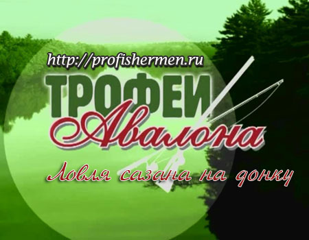 Ловля сазана на донку с берега Ловля сазана на донку с берега