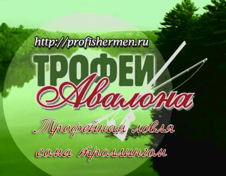 Трофейная ловля сома троллингом