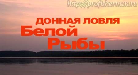 Донная ловля рыбы. Подсекая семеныч - донная ловля белой рыбы.