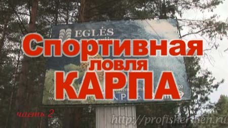 Спортивная ловля карпа. Подсекая семеныч – Спортивная ловля карпа в Европе.